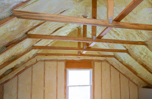 Types of Insulation We Offer in Inkster, MI