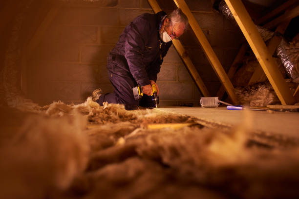 Best Spray Foam Insulation in Inkster, MI