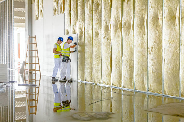Best Residential Insulation in Inkster, MI